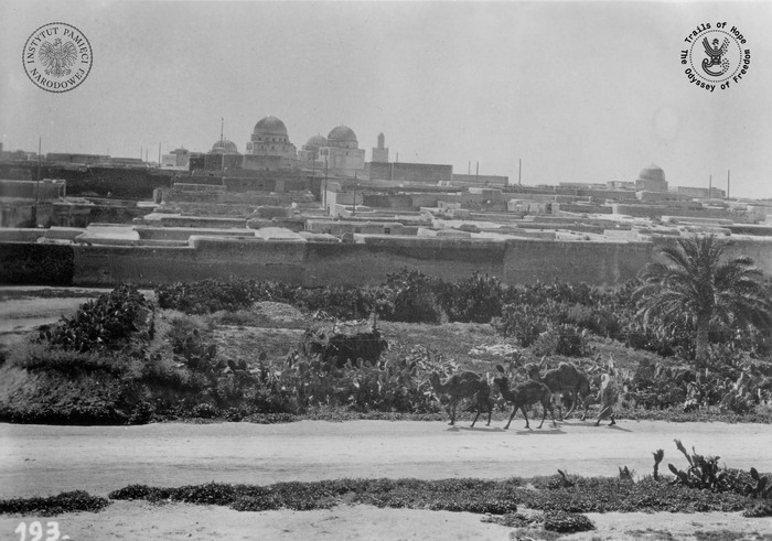 Kairuan Tunezja luty 1943 (fot. NAC)