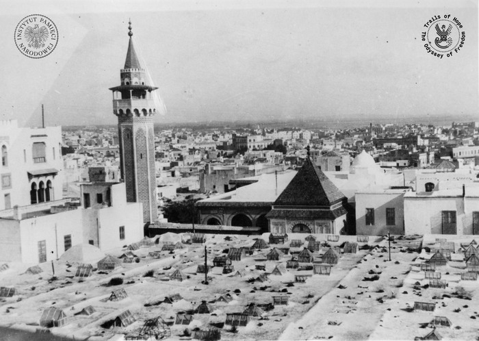Tunezja listopad 1942 rok (fot. NAC)